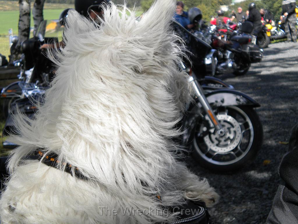 Wrecking Crew Rally Germany 022.jpg